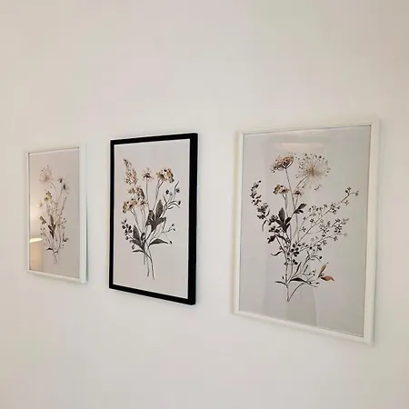 Jadart T3 Avec Balcon Au Pied De La Cathedrale * Реймс